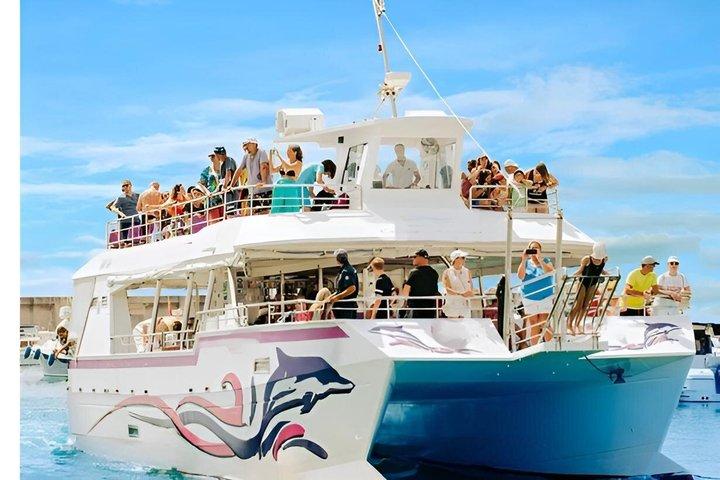 Malta Crociera in catamarano di mezza giornata a Comino, Gozo e Seacaves