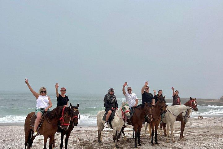 Agadir Beach Horse Riding Experience with Tea Break