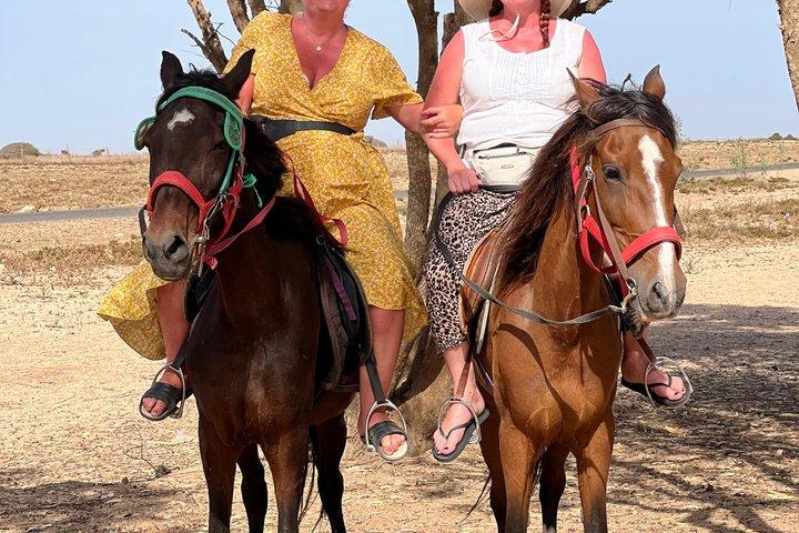 Agadir Beach Horse Riding Experience with Tea Break