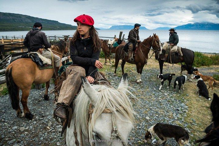 Patagonia Horseback Ride & Waterfall Experience