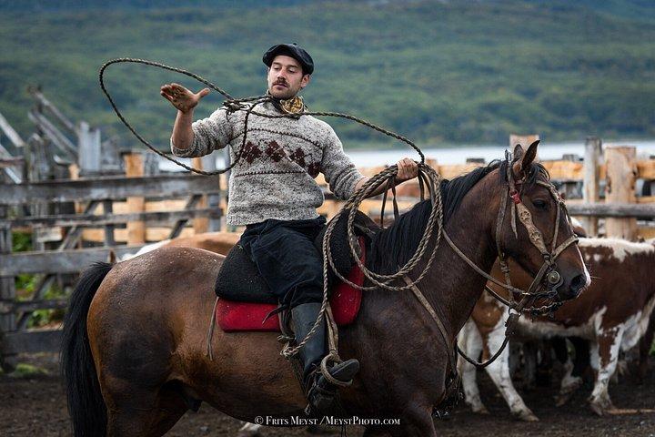 Patagonia Horseback Ride & Waterfall Experience