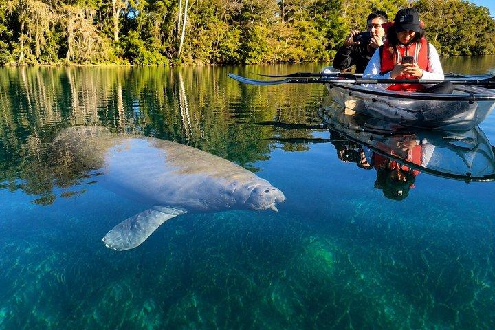 Silver Springs 2 - uur durende kajak ecotour met glazen bodem