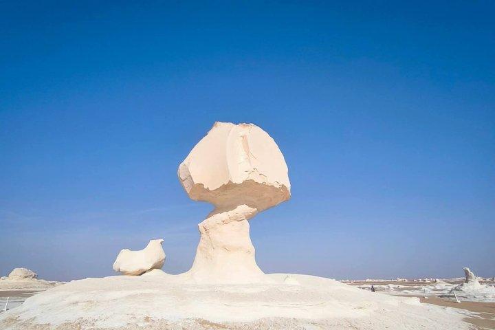 White Desert og Bahariya Oasis 2 - Dagstur fra Cairo