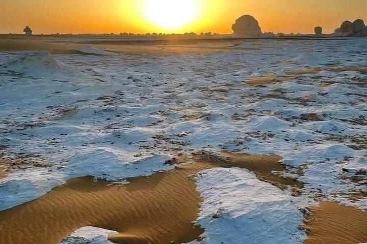 White Desert og Bahariya Oasis 2 - Dagstur fra Cairo