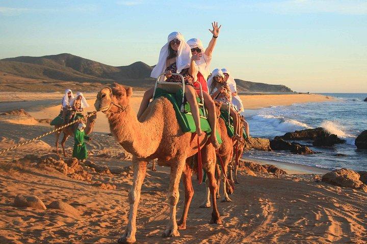 Passeio de camelo e UTV com degustação de tequila em Los Cabos