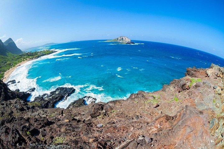 オアフ島グランドサークル島ツアー：ドール、平等院、カメなど