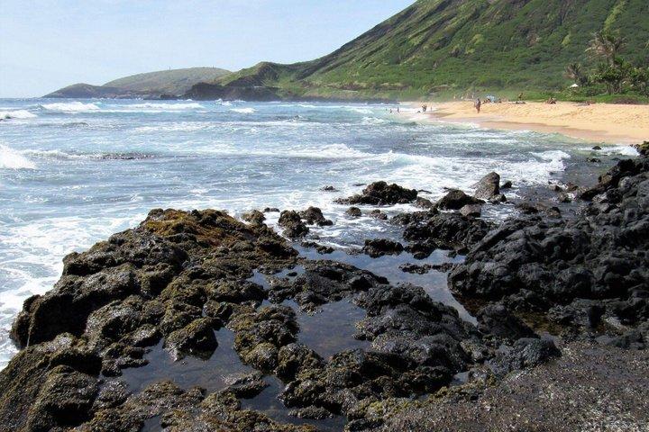 オアフ島グランドサークル島ツアー：ドール、平等院、カメなど