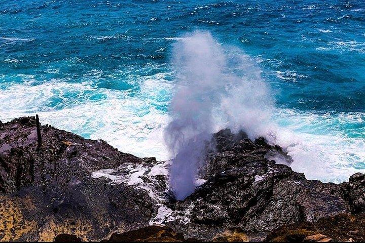 オアフ島グランドサークル島ツアー：ドール、平等院、カメなど