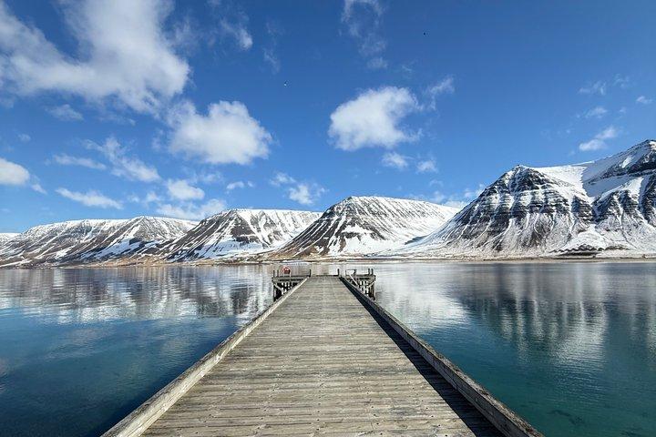 4-stündige Isafjordur- und Dynjandi-Tour mit Fotostopps