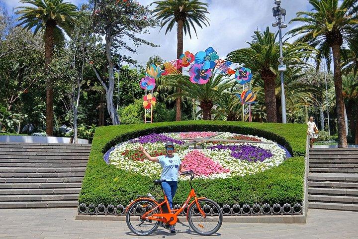 サンタクルスデテネリフェeバイクレンタル