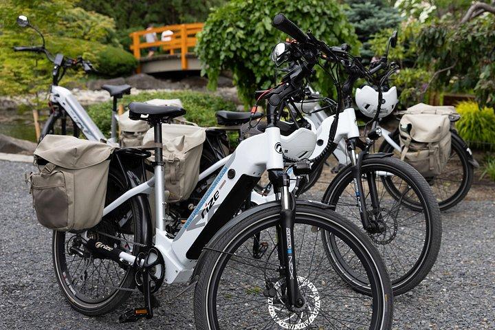 ケロウナEバイクガイド付き市内ハイライトツアー