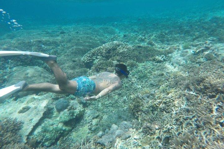 Bali Snorkeling : Blue Lagoon &Tanjung Jepun con Almuerzo & Traslado