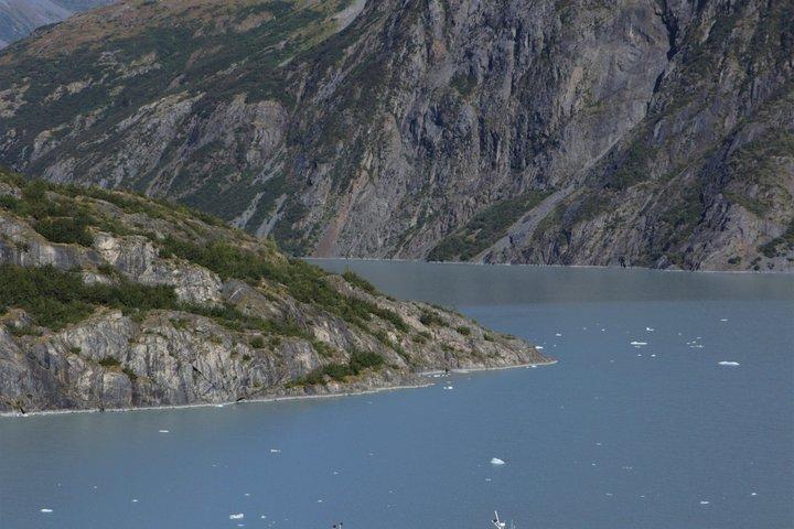 アンカレッジからの氷河クルーズと野生動物発見