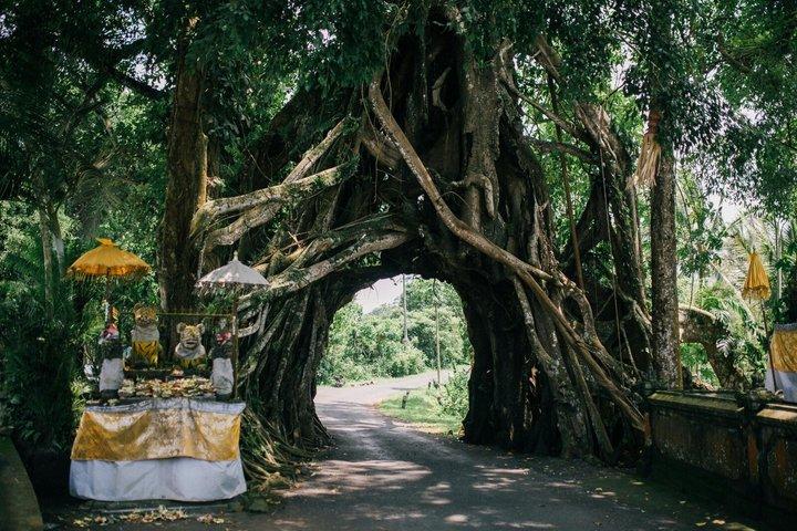ウブドプライベートツアー：現地エキスパートによるオールインクルシブ