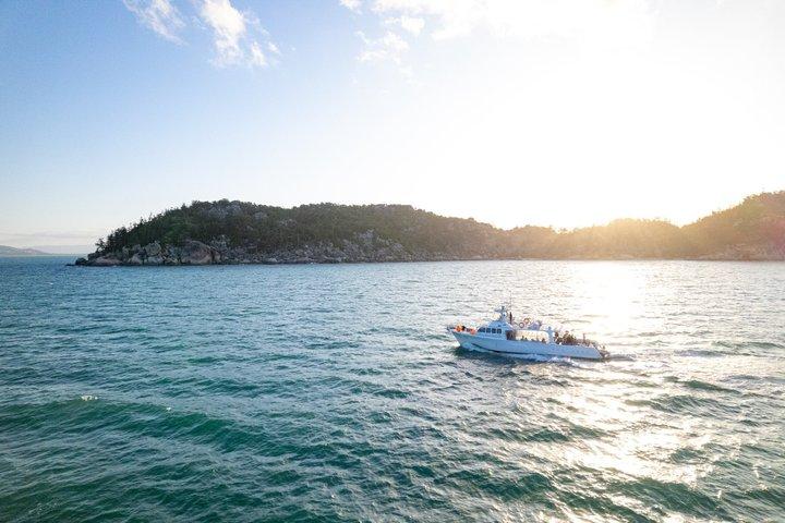 Croisière d'observation des baleines et de la faune à Townsville et Magnetic Island