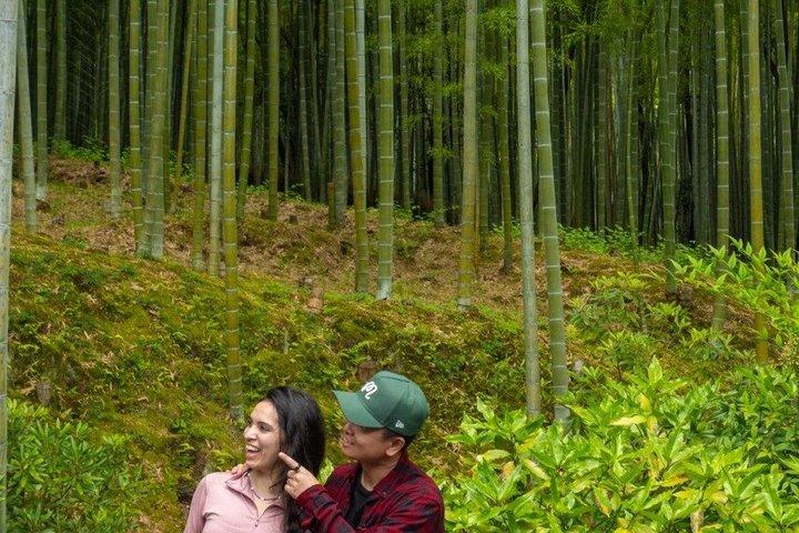 Kyoto : Arashiyama Unveiled – Bambo, Templo, Matcha, Macacos