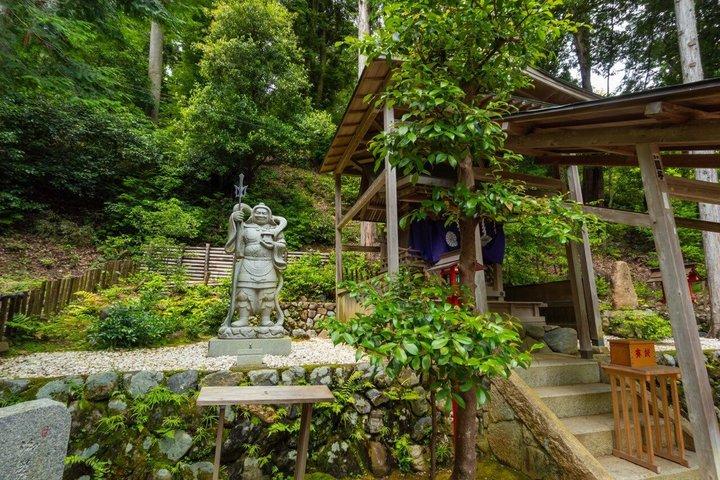 Kyoto : Arashiyama Unveiled – Bambo, Templo, Matcha, Macacos