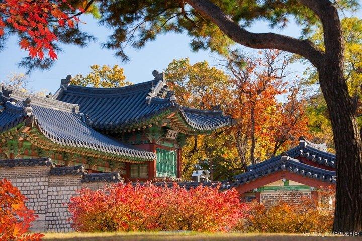 Private Full Day Seoul Palace and Hanok Tour com Pickup