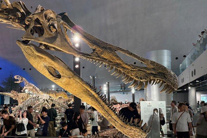 Kanazawa : Tour en grupo pequeño al Museo de Dinosaurios de Fukui de clase mundial