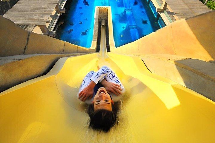 Plaisir et adrénaline illimités au Dubai Biggest Waterpark