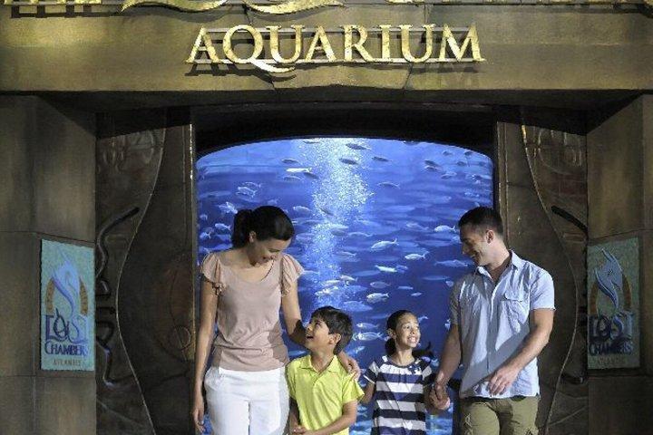 Plaisir et adrénaline illimités au Dubai Biggest Waterpark
