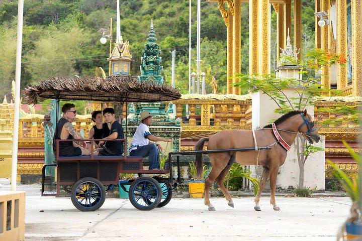 Siem Reap Horse Drawn Tour Experience