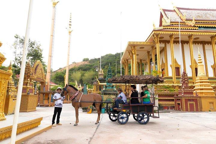 Siem Reap Horse Drawn Tour Experience