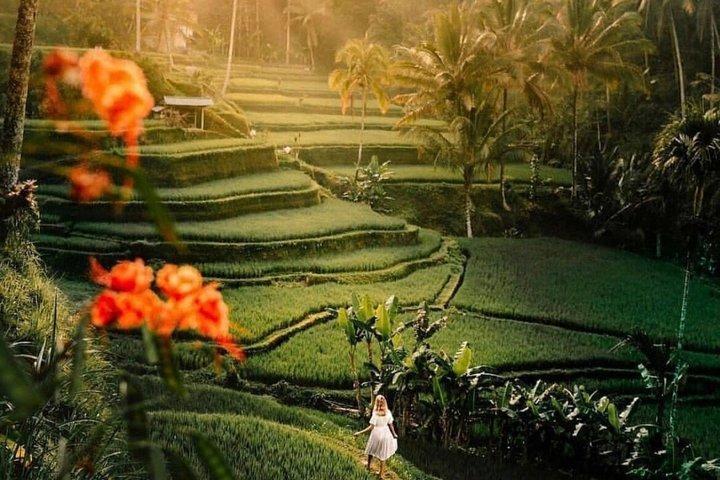 Ubud Private Custom Tour com templos, swing e cachoeiras