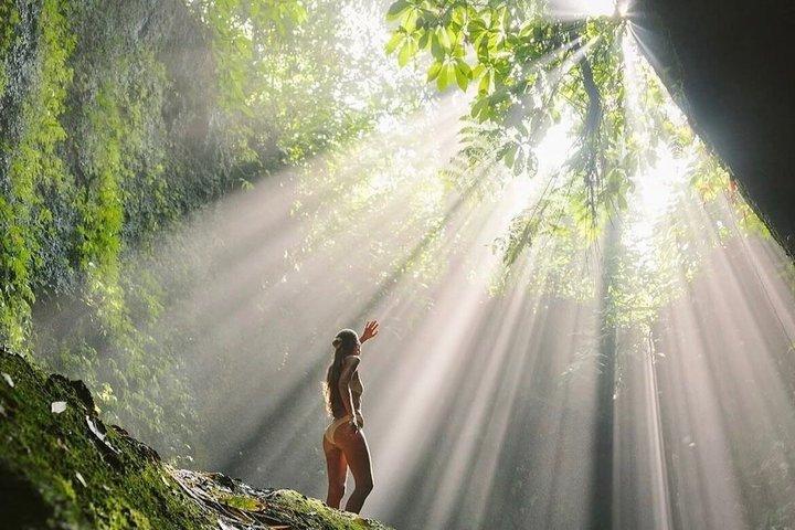 Ubud Private Custom Tour com templos, swing e cachoeiras