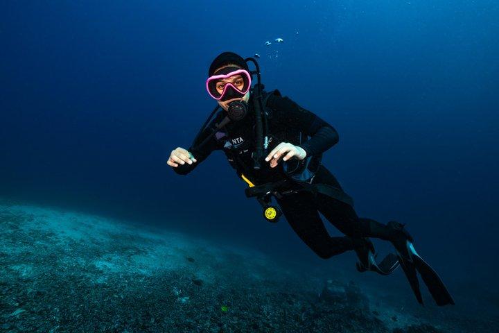 Try Scuba Diving in the Red Sea with Mermates