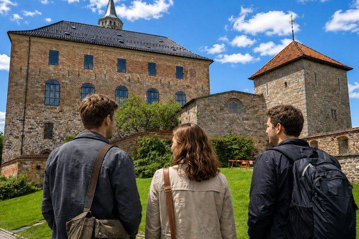 Excursion privée d'une demi-journée avec un local à Oslo