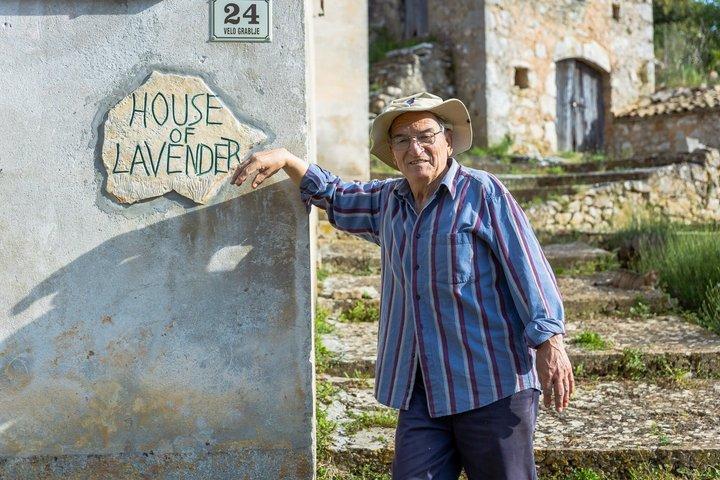 Hidden Hvar Eco Tuk Tuk Tour : Lavendelfelder, Dörfer & Aussichten
