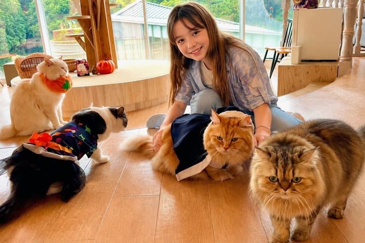 Tokyo: Gotokuji Lucky Cat Temple and Harajuku Cat Cafe Tour