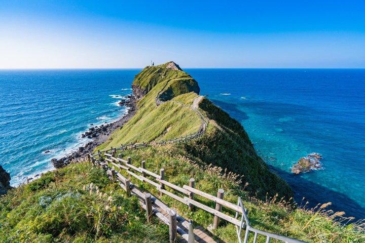 Privé 1 - dagtour door Cape Kamui en fruit plukken vanuit Sapporo