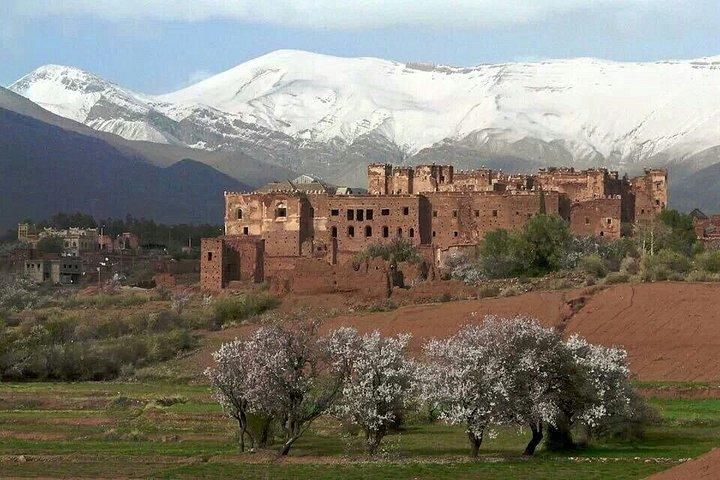 Ait Ben Haddou and Telouet Day Trip from Marrakech