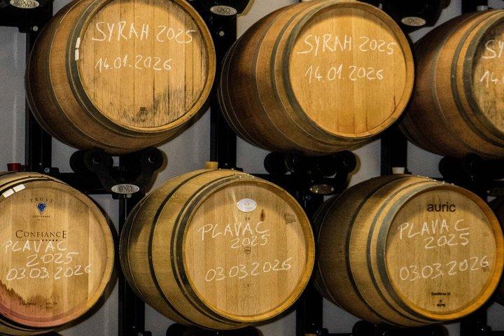Tour de cata de vinos Makarska