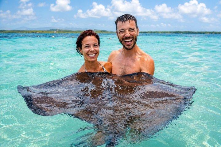 Het beste van Antigua : Stingray City, strand, lunch & eilandtour