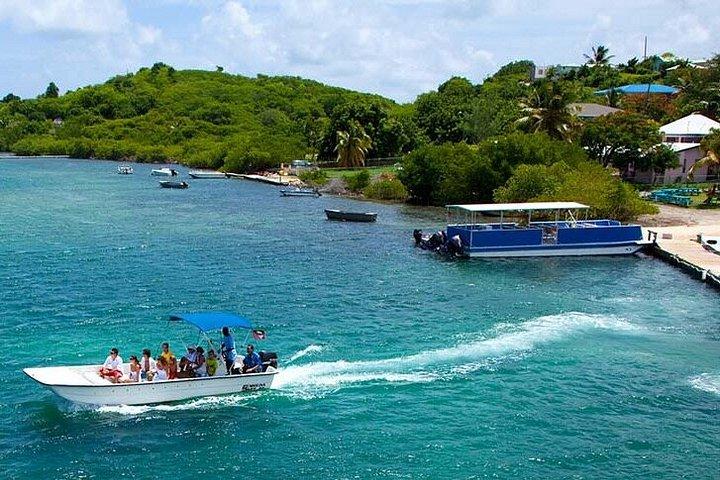 Antigua Stingray Adventure with Guaranteed Return to Ship