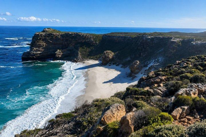 Tour privée Cap de Bonne-Espérance, Cap Point et des manchots.