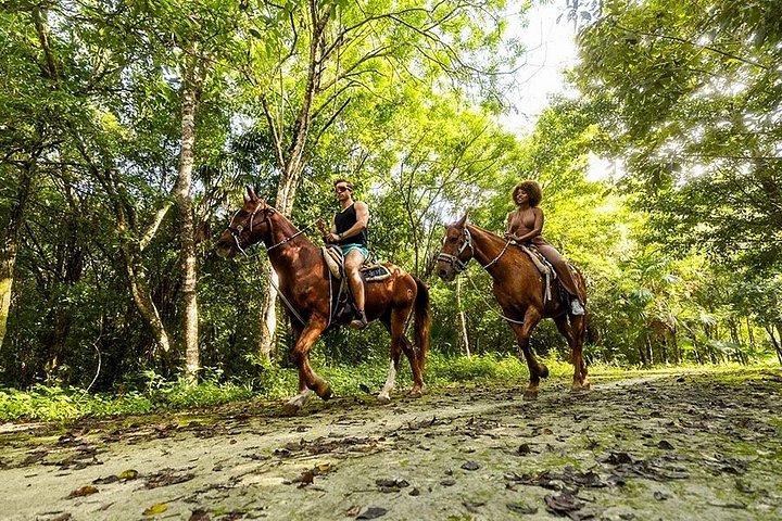 ジャングルアドベンチャーツアーATVジップラインセノーテ泳ぐ馬乗り
