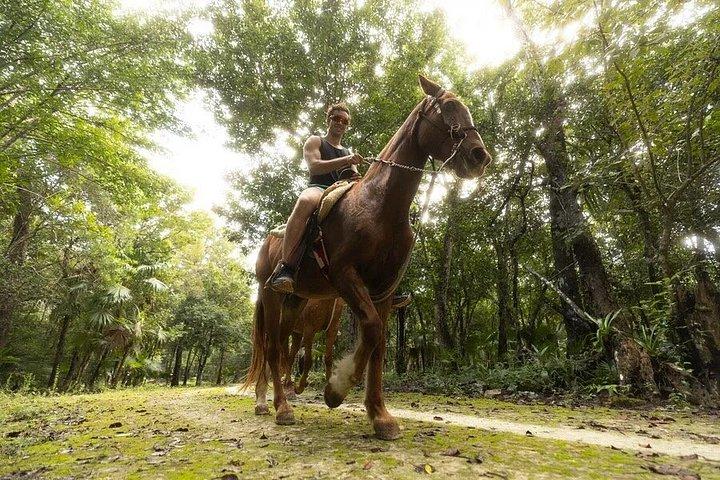 ジャングルアドベンチャーツアーATVジップラインセノーテ泳ぐ馬乗り