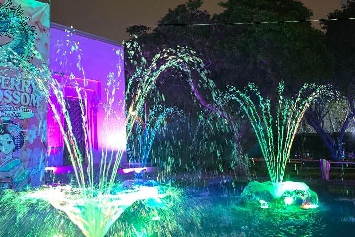 Magic Water Circuit with Dinner show, typical Peruvian dances.
