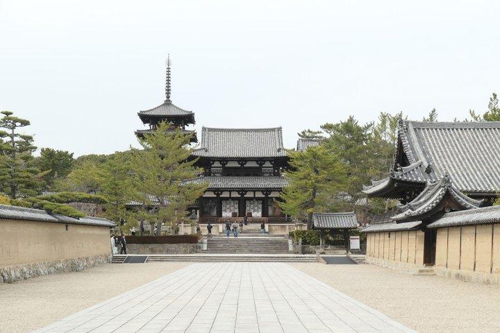 Horyu-ji Guided Tour with Local Architectural Historian