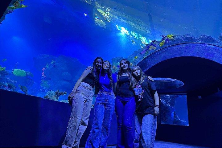 AquaFoz VIP: Premium Guided Experience