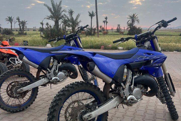 Experiencia de motocross en el desierto de Palmeraie