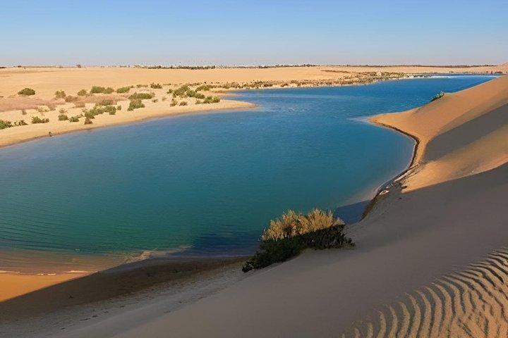 Fayoum Oasis & Wüstensafari Tagestour ab Kairo