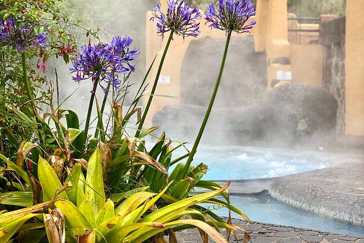 Full-Day Papallacta Hot Springs With Lunch