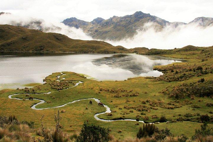 Full-Day Papallacta Hot Springs With Lunch