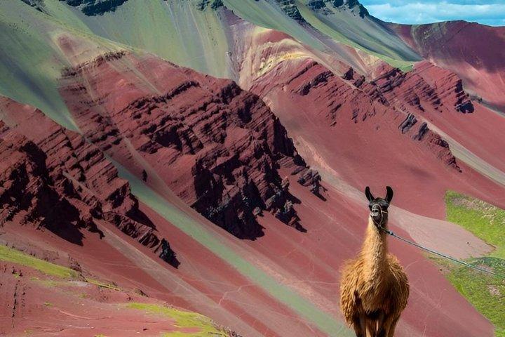 Rainbow Mountain and Red Valley ATV Tour Full-Day Adventure