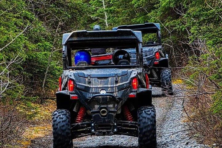 Avventura in ATV a Eklutna Alaska